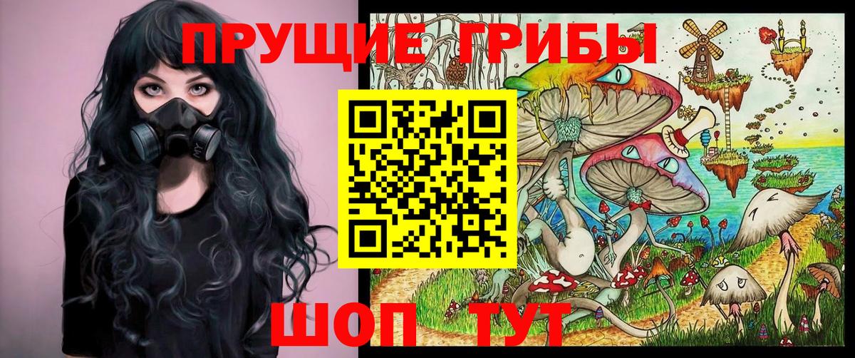 Псилоцибиновые грибы Psilocybe  Вход с VPN  Галлюциногенные грибы мицелий  Углич 